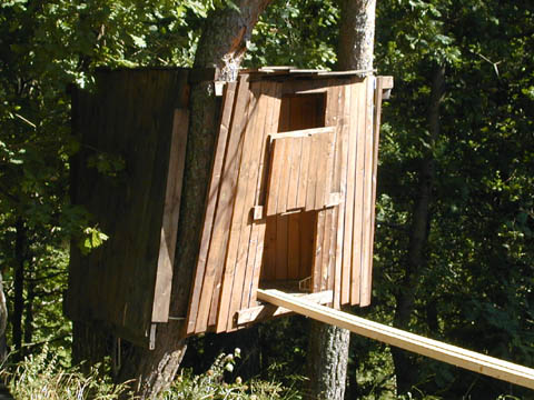 koja