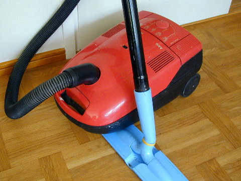 pölynimuri