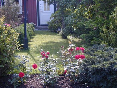 trädgård