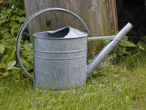 vattenkanna
