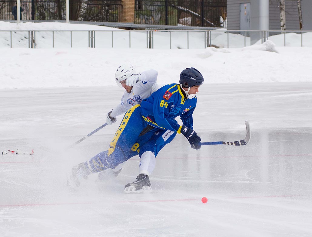 bandy