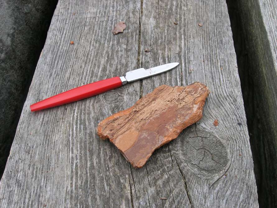 Du behöver en barkbit och en kniv.