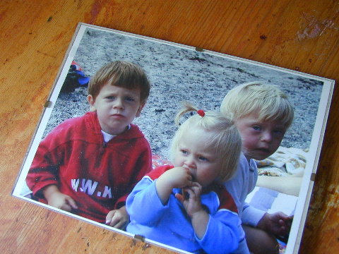 bild (foto)