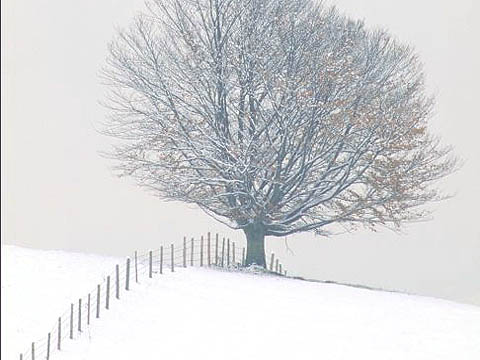 januari