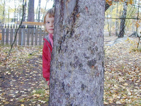 kurragömma