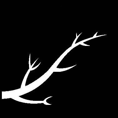 vinter
