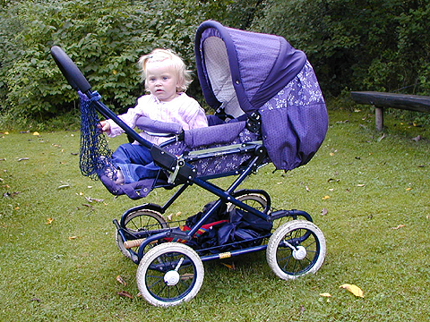 vagn