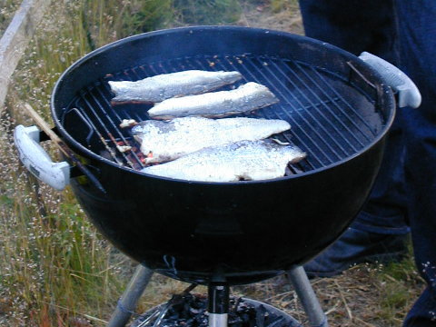 grill