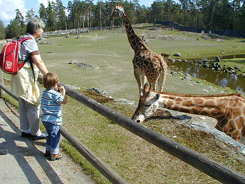 djurpark