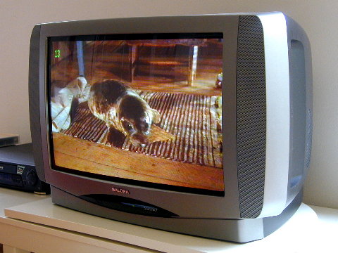 tv