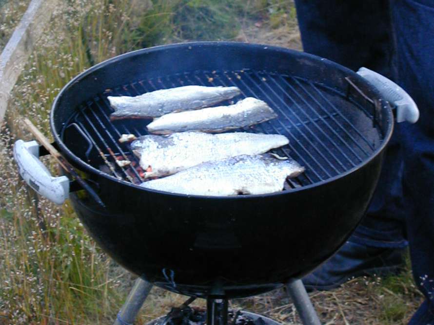 På kvällen äter vi grillad fisk. Mums!