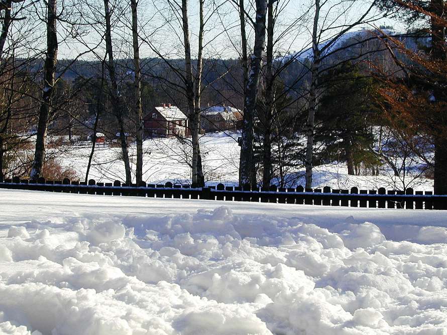 Snart blir det vinter och trädgården blir vit.