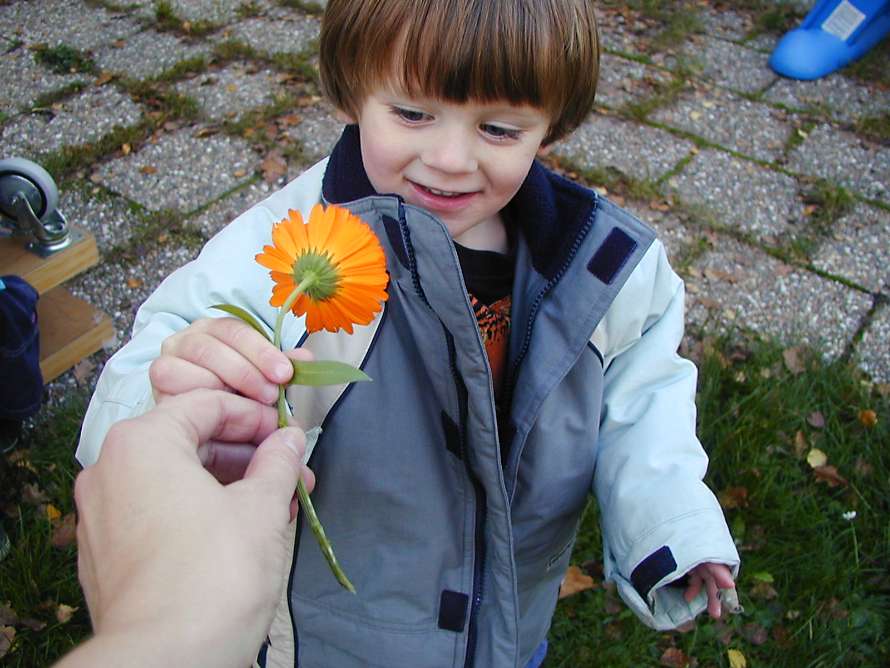 Pojken får en blomma.