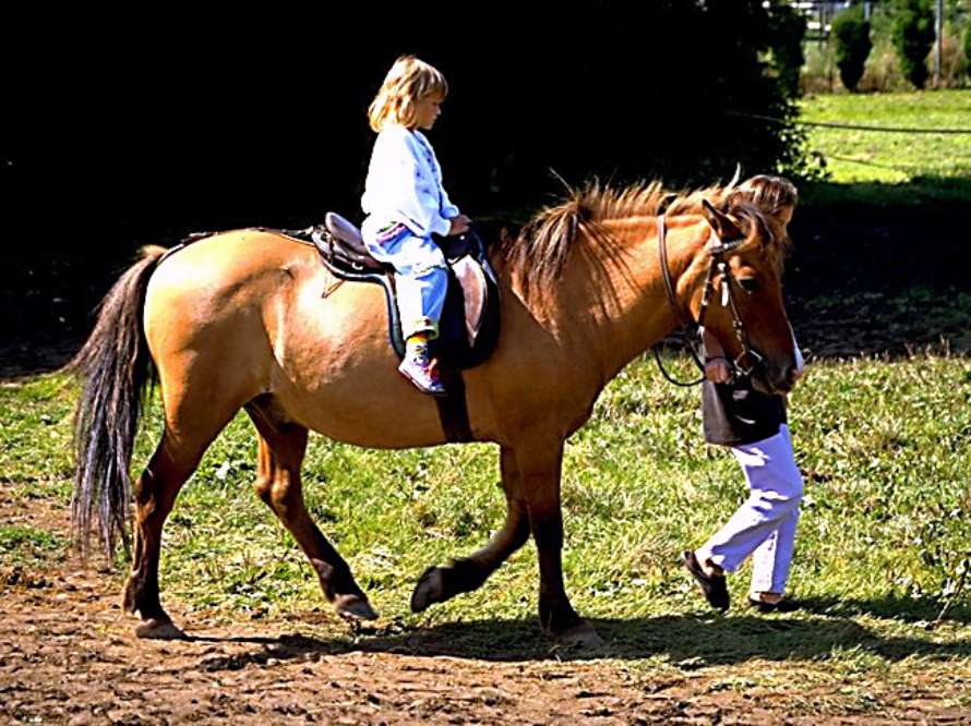 Flickan rider på den bruna hästen.