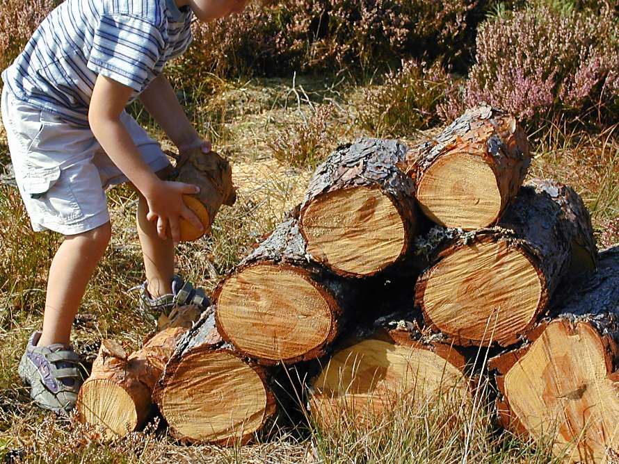 Pojken jobbar ute i skogen.