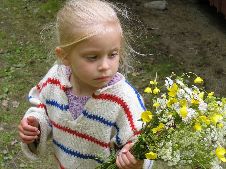 Efter lunch plockar alla blommor till midsommarstången.