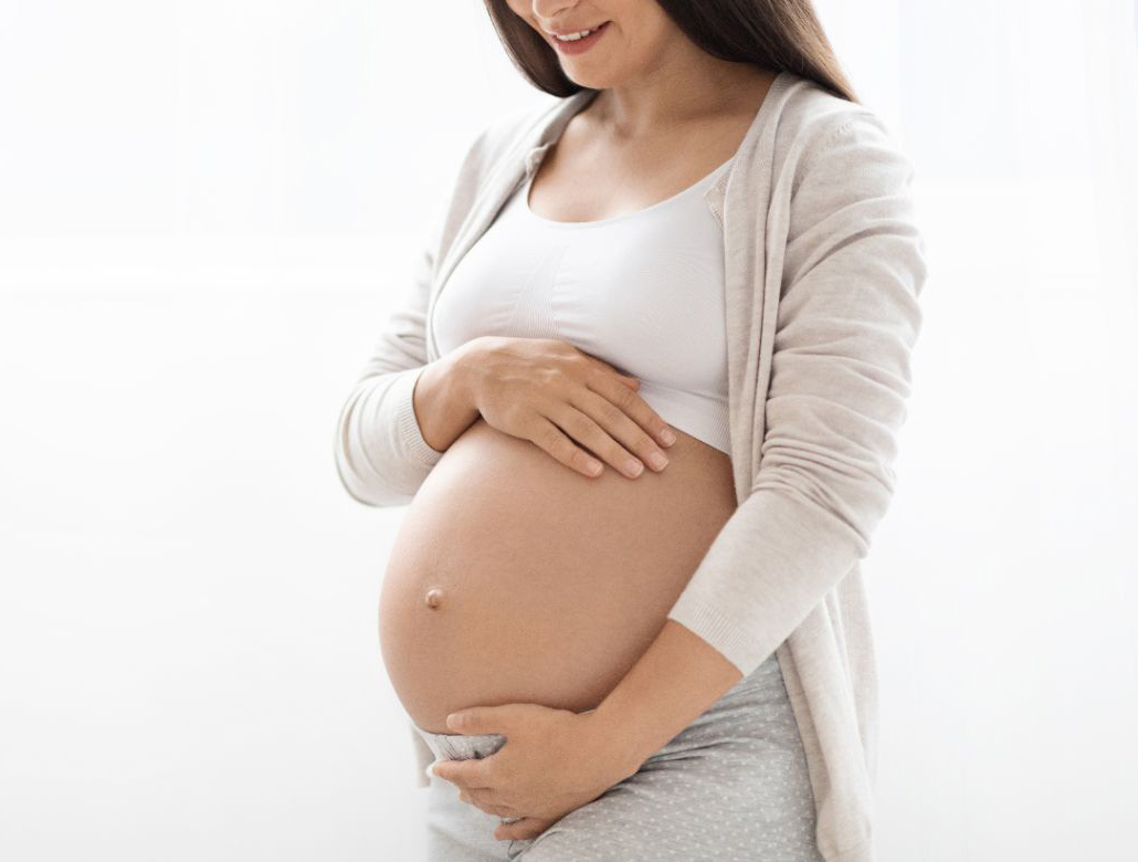 gravid