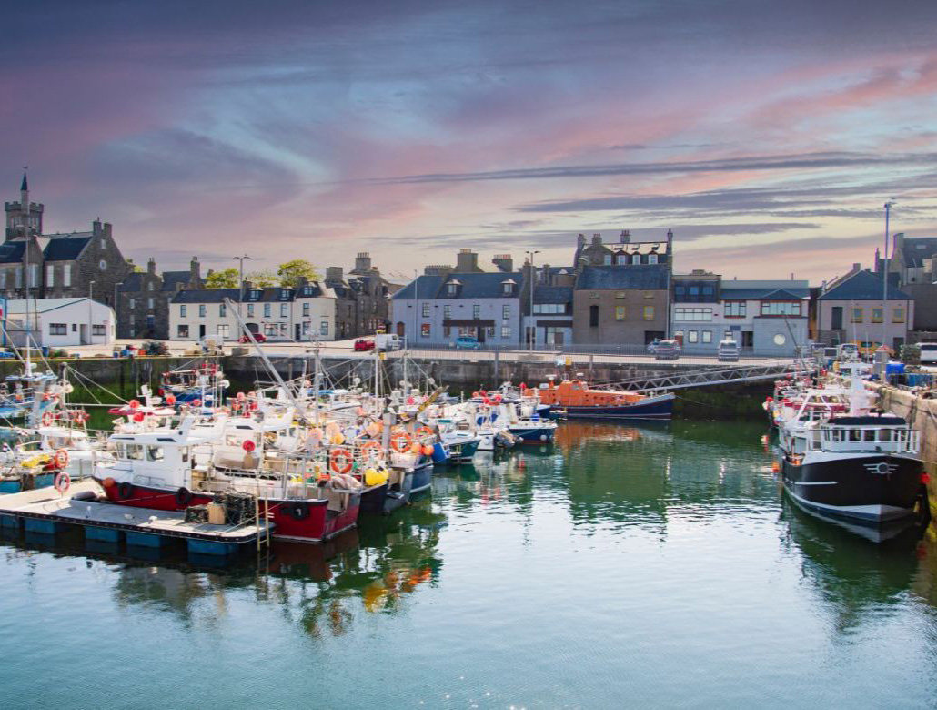hamn