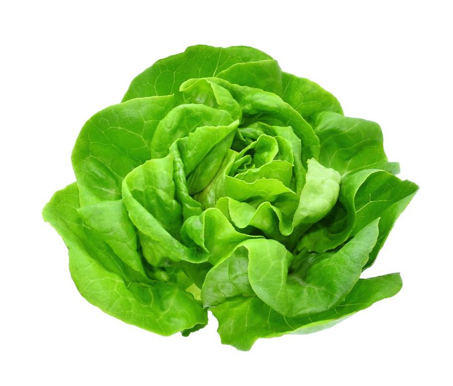 sallad