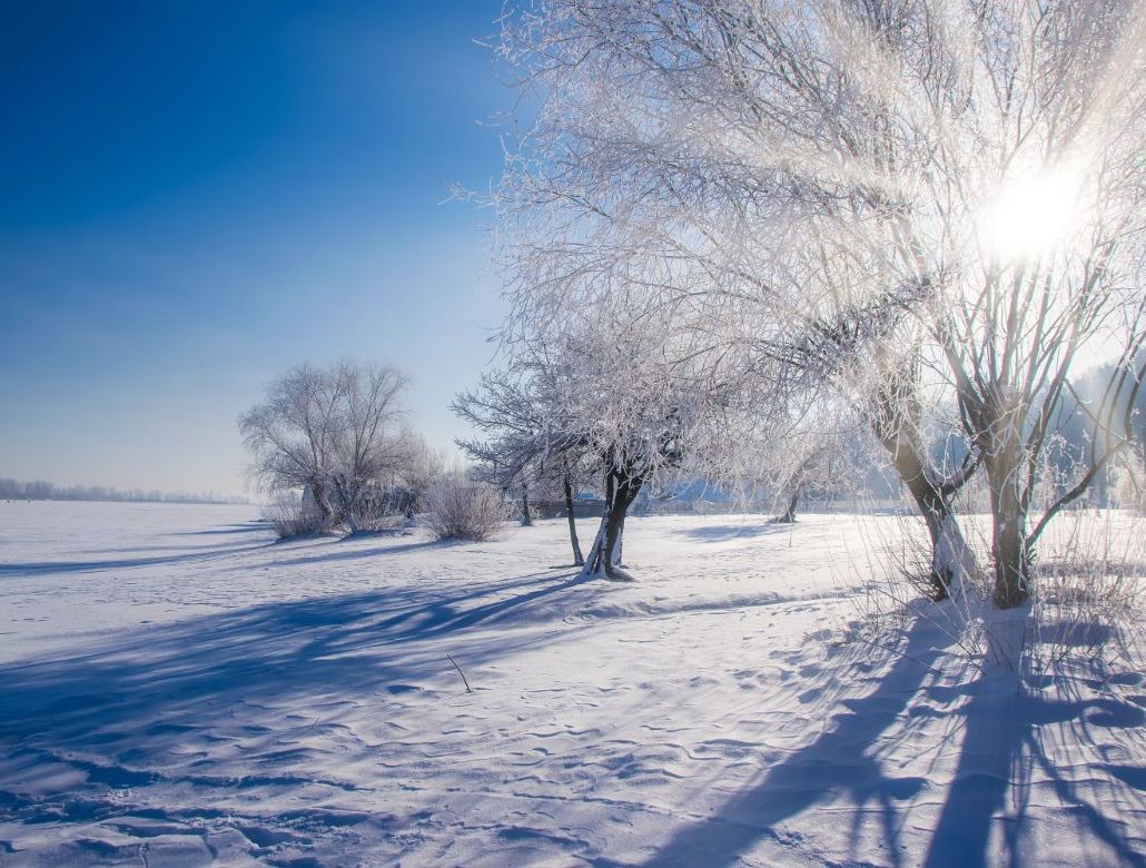 vinter