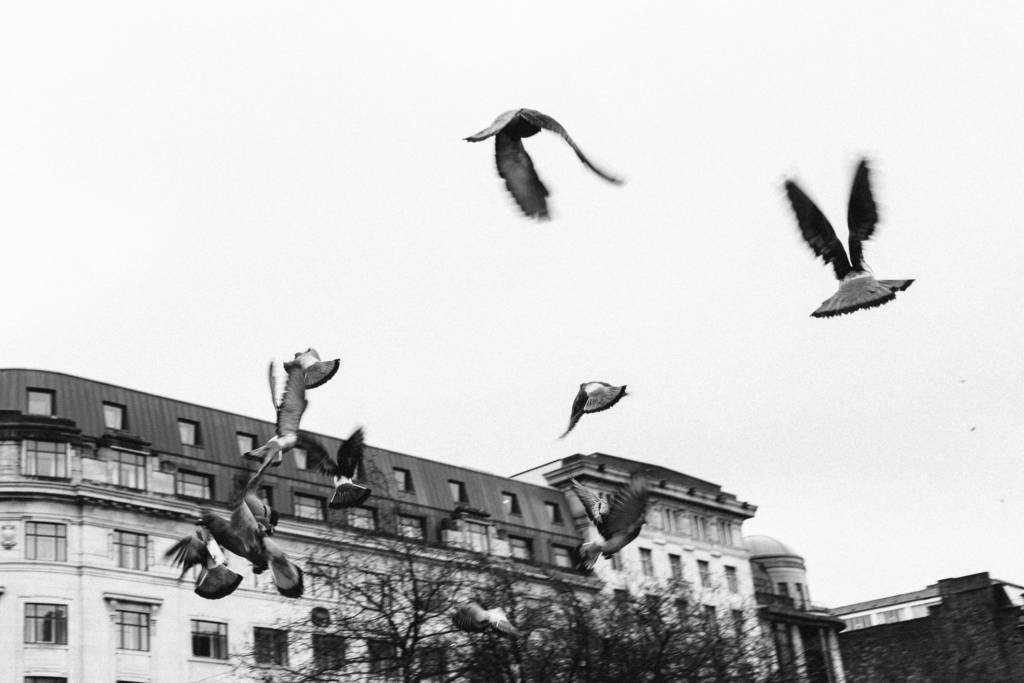 Tom Arber Photography