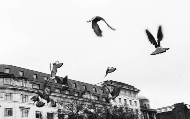 Tom Arber Photography