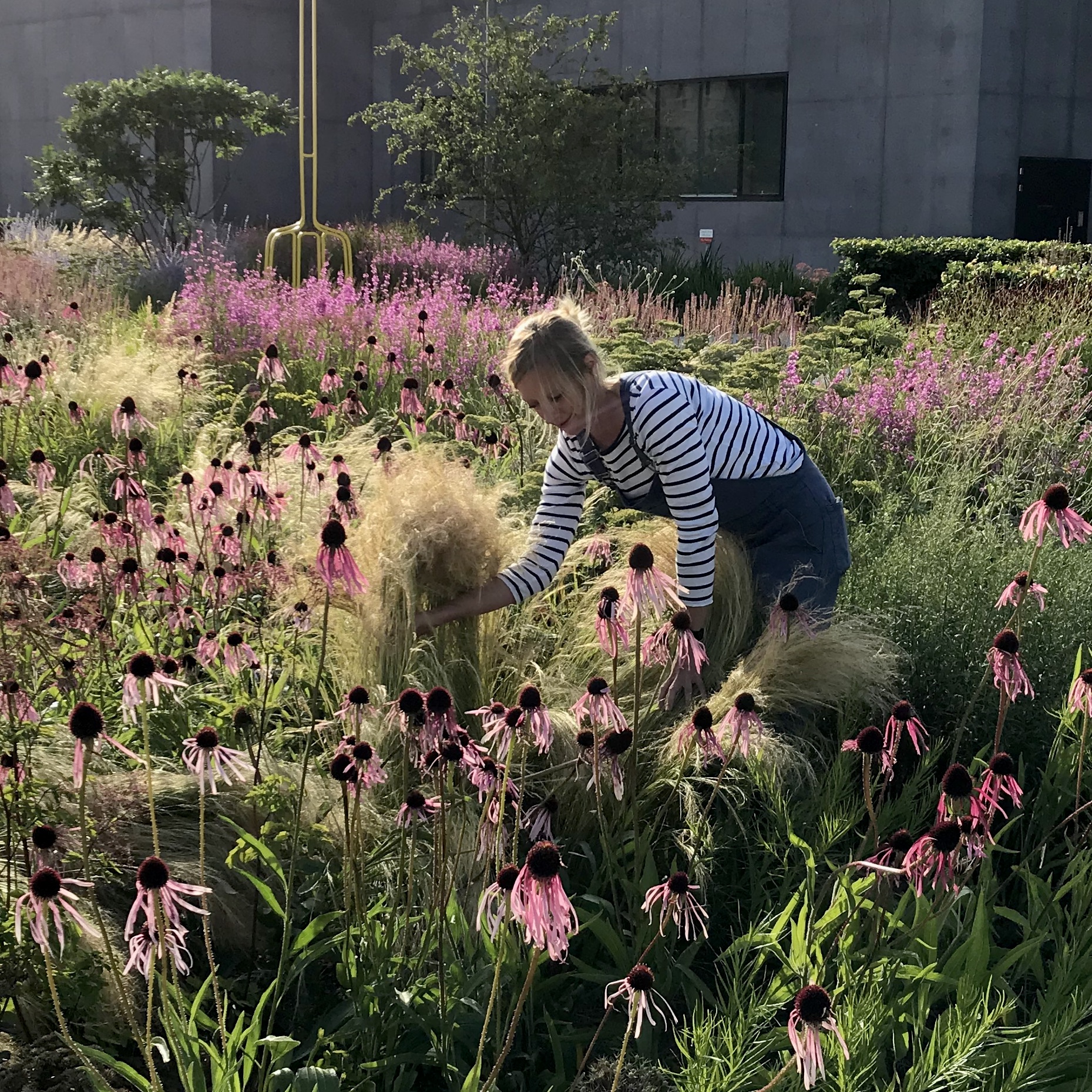 The Hepworth Wakefield Garden