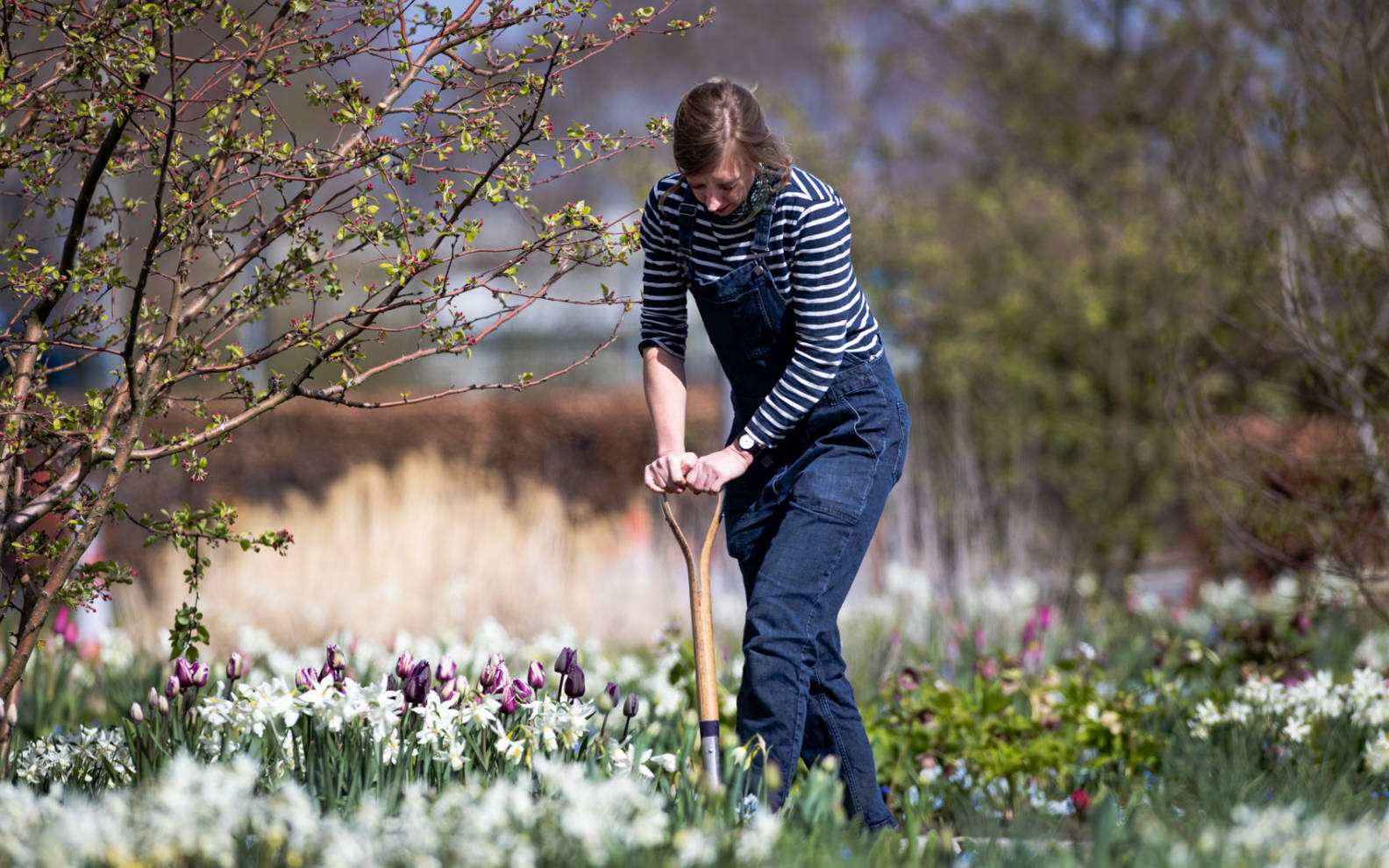 Help Katy care for The Hepworth Wakefield Garden The Hepworth Wakefield