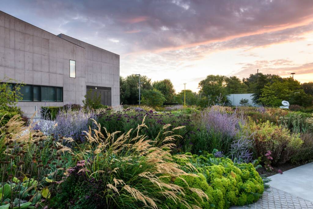 A new, free public garden in Wakefield, Yorkshire.