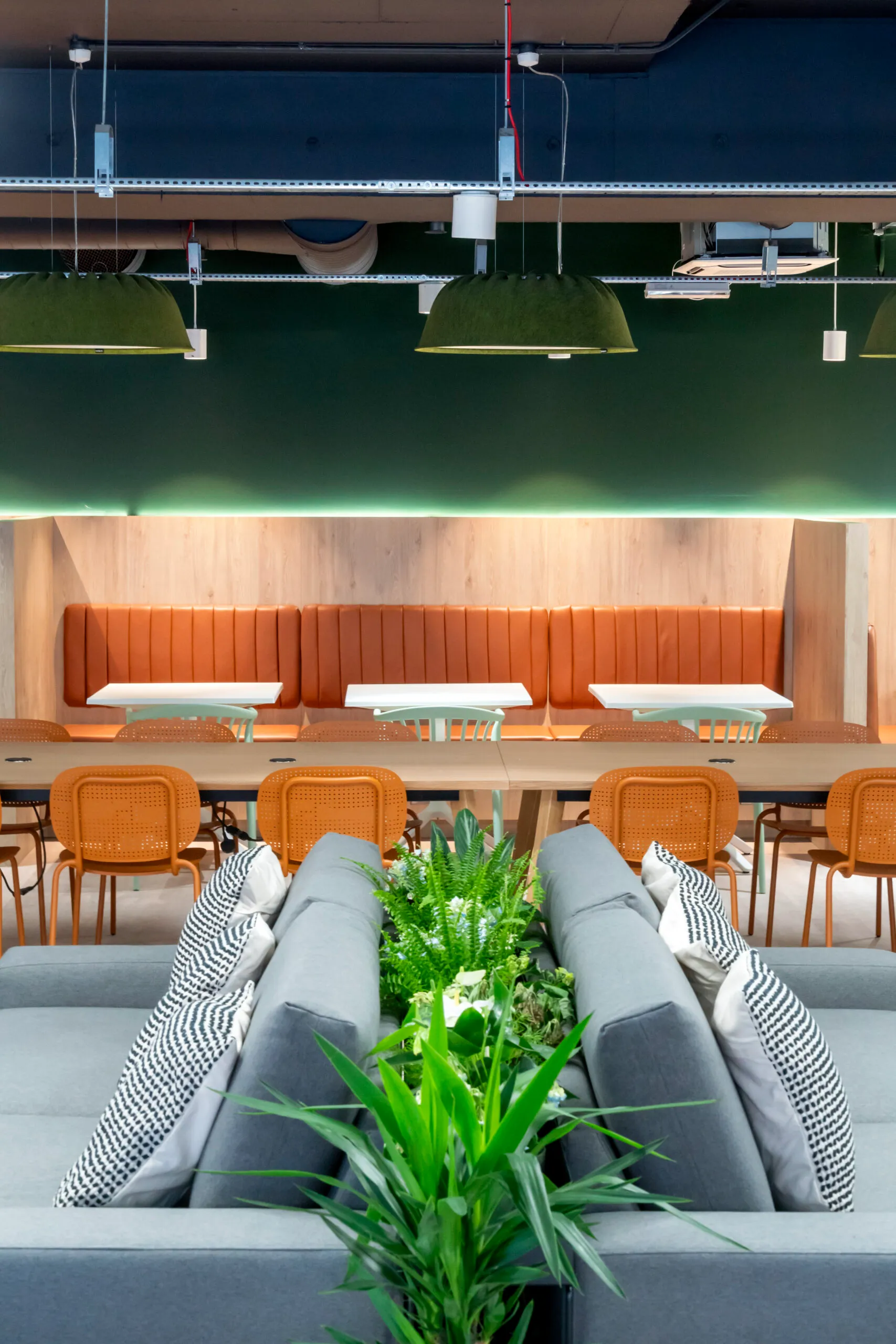 Mezinno Bradbury Place Belfast 