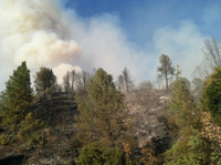 Wildfire on the I-5 Small hitchhiking from redding ca united states to grants pass or united states