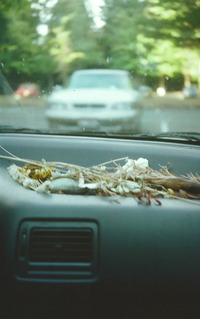 Katie's dashboard Small hitchhiking from portland or united states to olympia wa united states