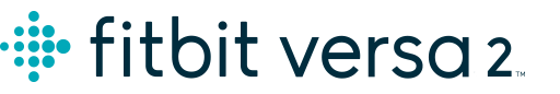 fitbit versa 2 icons