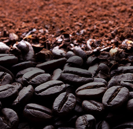 The Coffee Experience