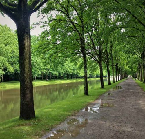 Kassel Staatspark Karlsaue Kassel Staatspark Karlsaue