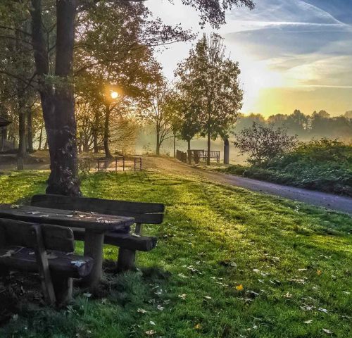 Bremen Knoops Park Bremen Knoops Park