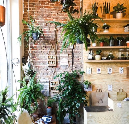 Agave Boutique Agave Boutique