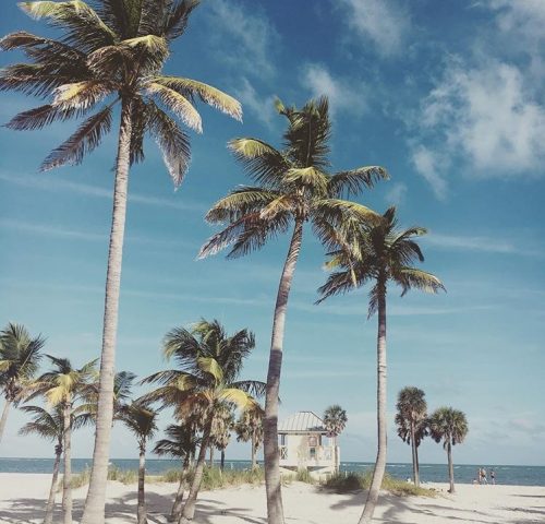 Crandon Park Crandon Park