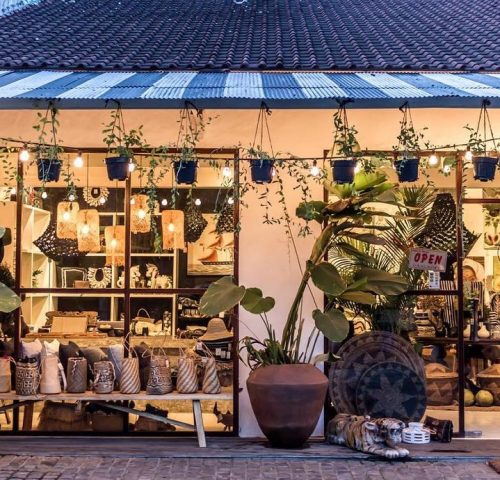Jungle Trader Shop Jungle Trader Shop
