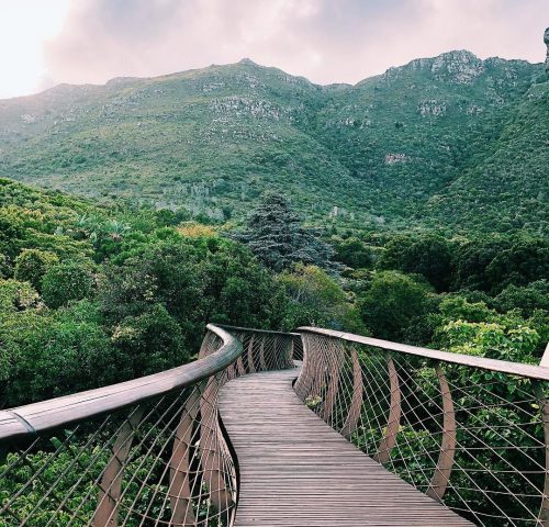 Jardín Botánico de Kirstenbosch Jardín Botánico de Kirstenbosch