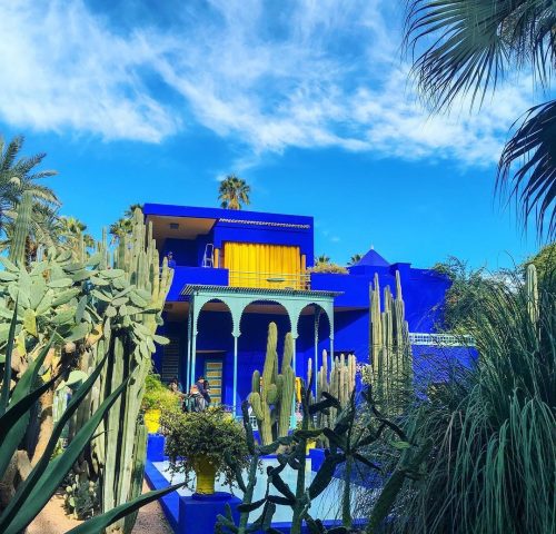 Majorelle Majorelle