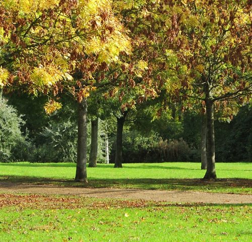 Milton-Keynes-credit-Andrew-Gustar-via-Flickr1 Milton-Keynes-credit-Andrew-Gustar-via-Flickr1