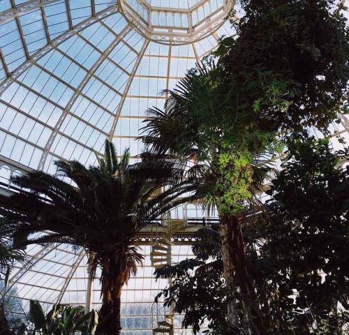 Palm House Palm House