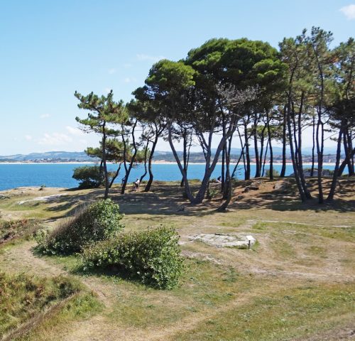 Parque-de-la-Magdalena-Santander-6 Parque-de-la-Magdalena-Santander-6