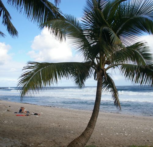 Plage-de-Grande-Anse-Réunion-credit-Simon-Bonaventure-via-Holidu Plage-de-Grande-Anse-Réunion-credit-Simon-Bonaventure-via-Holidu