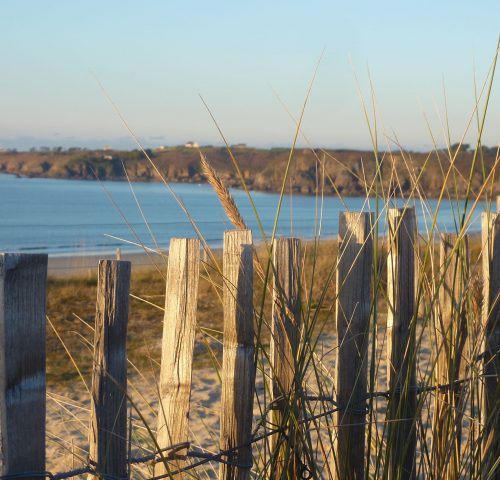 Plage-des-Blancs-Sablons-ccredit-Cédric-Liénart-via-Holidu Plage-des-Blancs-Sablons-ccredit-Cédric-Liénart-via-Holidu