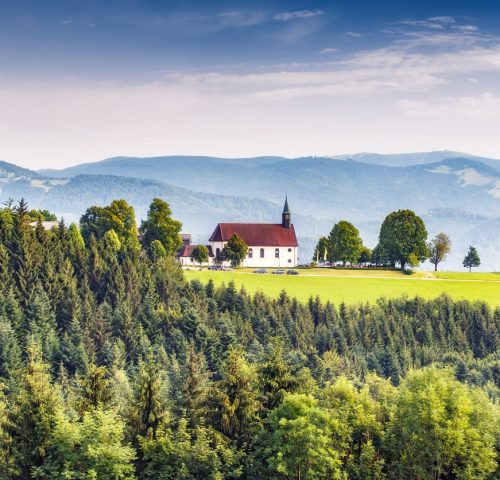 Schwarzwald Schwarzwald