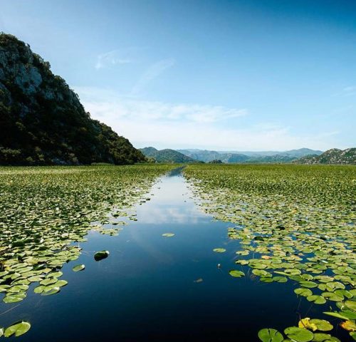 Lago di Scutari Lago di Scutari