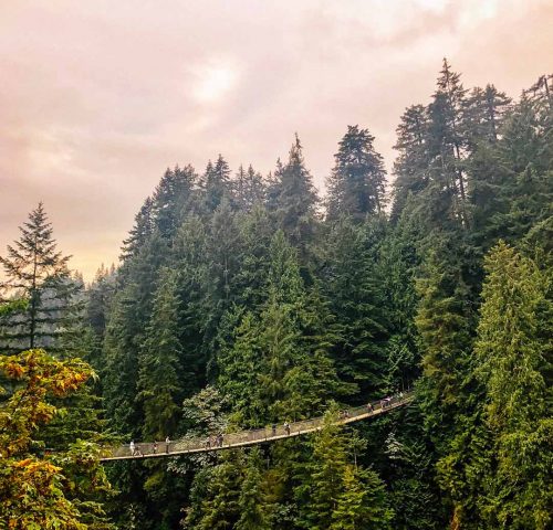 Pont suspendu Capilano Pont suspendu Capilano