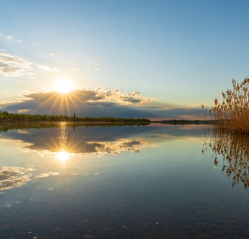 Leipziger Neuseenland Leipziger Neuseenland